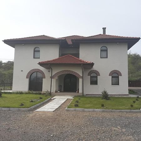 Pensiunea Casa Ungur Cetea Екстериор снимка