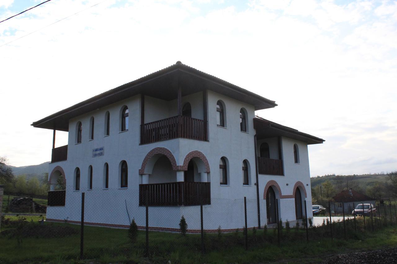 Pensiunea Casa Ungur Cetea Екстериор снимка