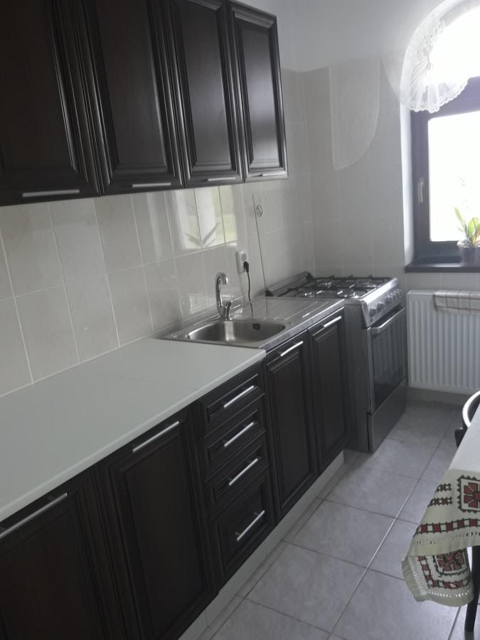 Pensiunea Casa Ungur Cetea Екстериор снимка