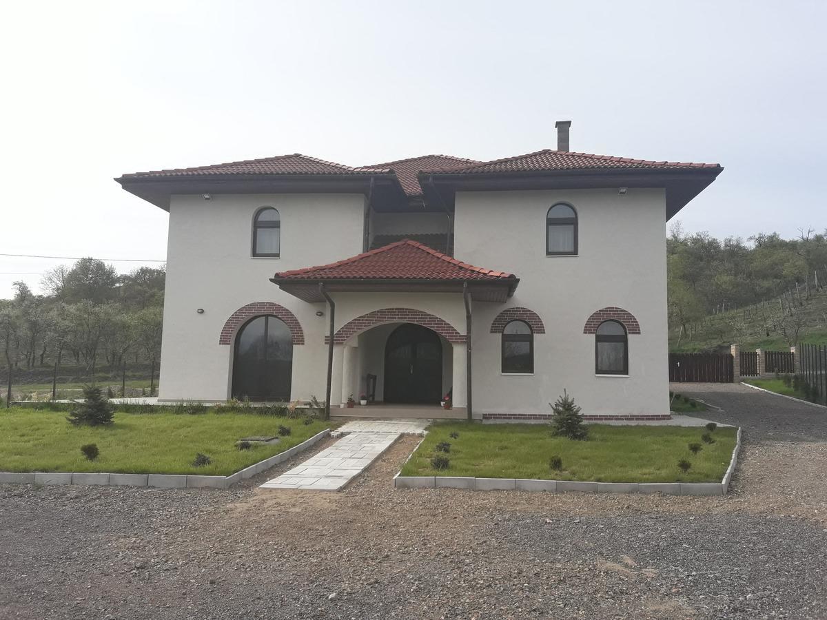 Pensiunea Casa Ungur Cetea Екстериор снимка