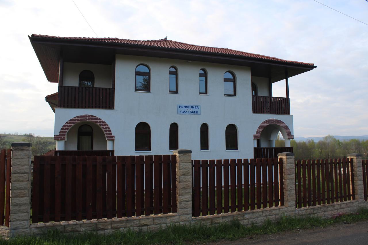Pensiunea Casa Ungur Cetea Екстериор снимка
